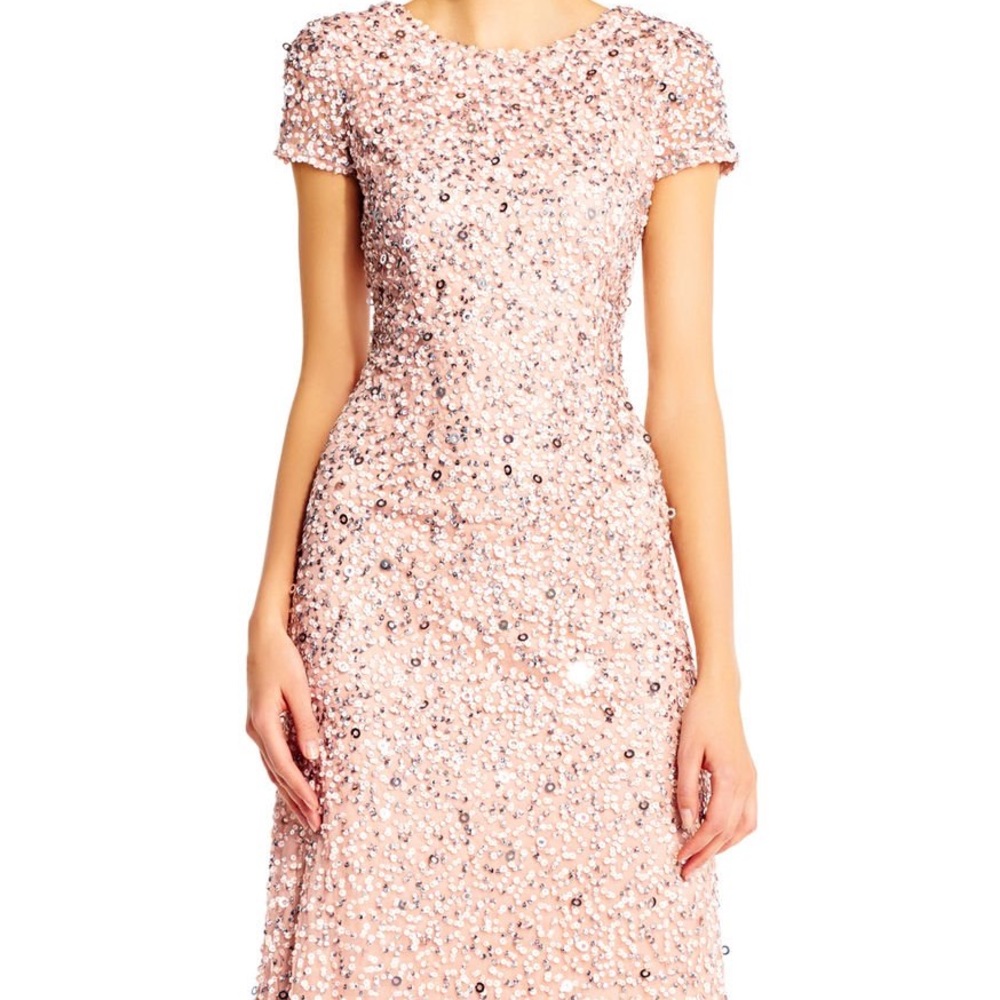 Adrianna Papell Scoop Back Sequin Gown (Blush)